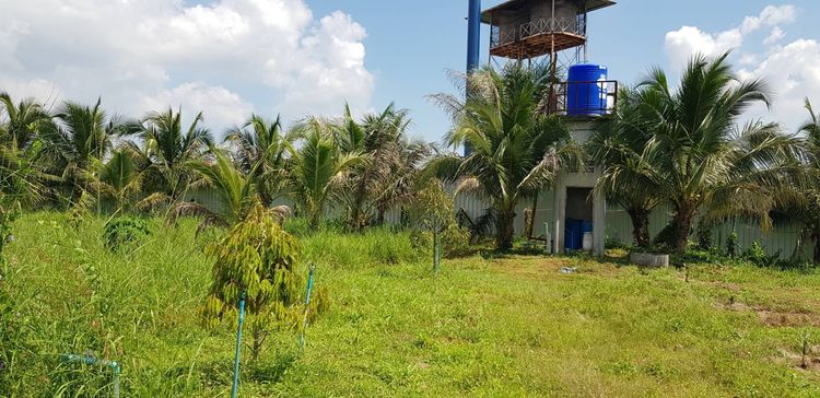 ขายทีดินศรีราชาโคงดารา รูปที่ 2