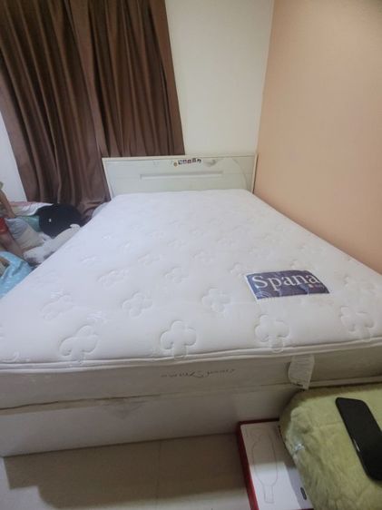 เตียงนอน CONCEPT ขนาด 5 ฟุต พร้อมที่นอน spana รูปที่ 2