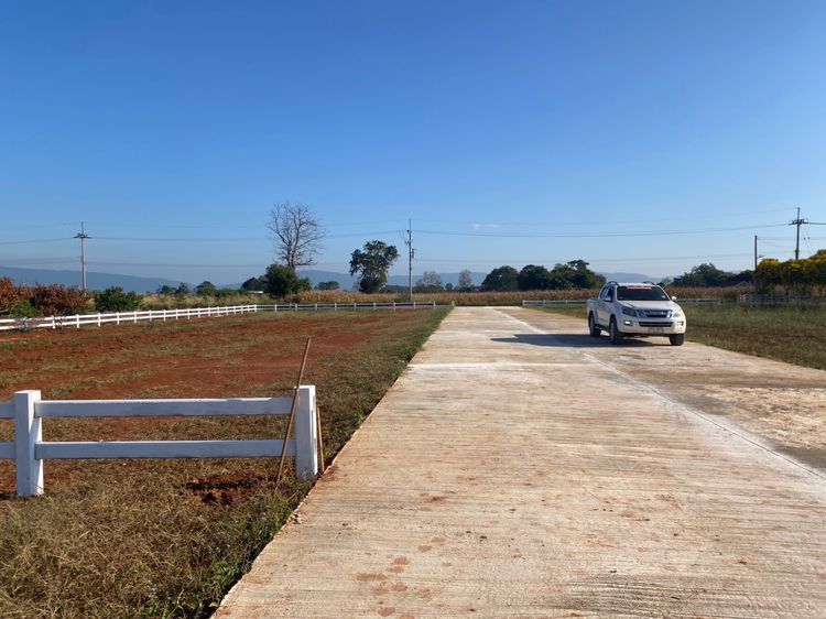 ที่ดินทำเลดี ต.คลองม่วง อ.ปากช่อง จ.นครราชสีมา รูปที่ 4