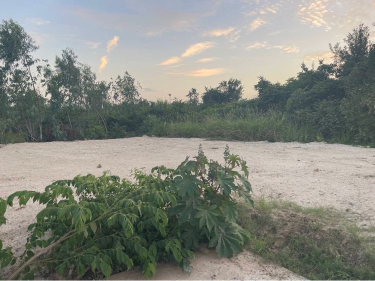 ที่ดินสวย น่าอยู่ ถมที่เรียบร้อย ในเมืองประจวบฯ รูปที่ 3