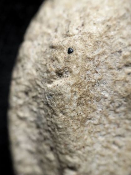 พระพิมพ์ซุ้มกอกรุวัดใหม่ปากบางอยุธยาครับ รูปที่ 9