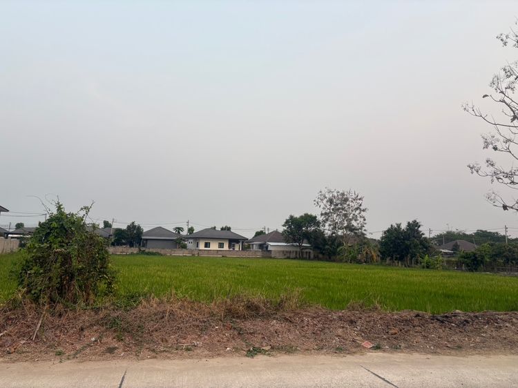 ขายที่ดินหนองจ๊อม รูปที่ 2