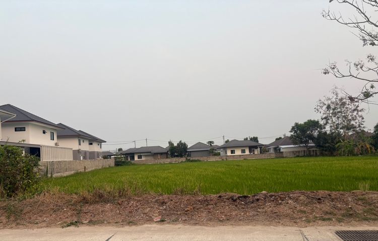 ขายที่ดินหนองจ๊อม รูปที่ 3