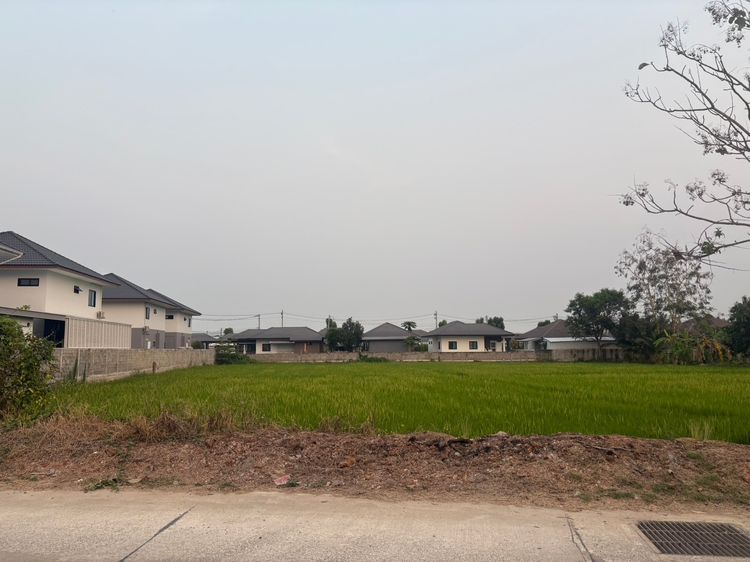 ขายที่ดินหนองจ๊อม  รูปที่ 4