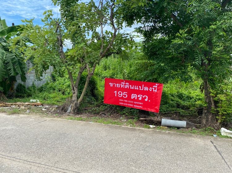 ขายที่ดิน195ตารางวา