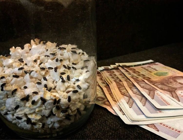 กระดิ่งเงินกระดิ่งทอง สัตว์เลี้ยงมงคลสุดปัง คุณกระดิ่งเงินกระดิ่งทอง น้องกระดิ่งเงินกระดิ่งทอง ผ่านพิธีปลุกเสกแล้ว เสริมค้าขาย การเงิน รูปที่ 2