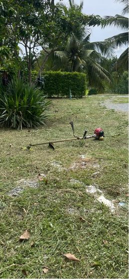 ใช่ ที่ดินเปล่าถมแล้วพร้อมสวนไม้นานาชนิด รูปที่ 3