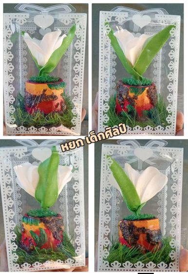 กล่องของขวัญ,กล่องตกแต่ง,กล่องกระถางดอกไม้ รูปที่ 4
