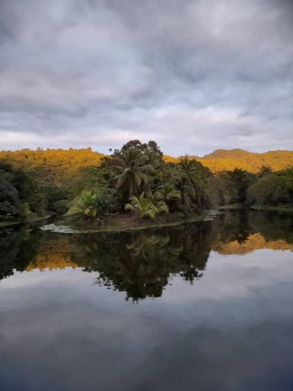 ใช่ ขายที่ดินทองผาภูมิ​ รูปที่ 4