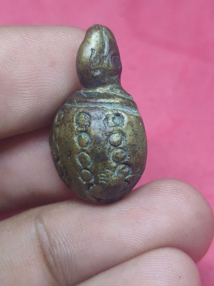 พญาเต่าเรือน รูปที่ 3