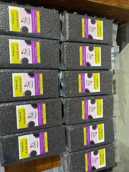 ข้าวก่ำจ้าว มช 107 รูปที่ 2