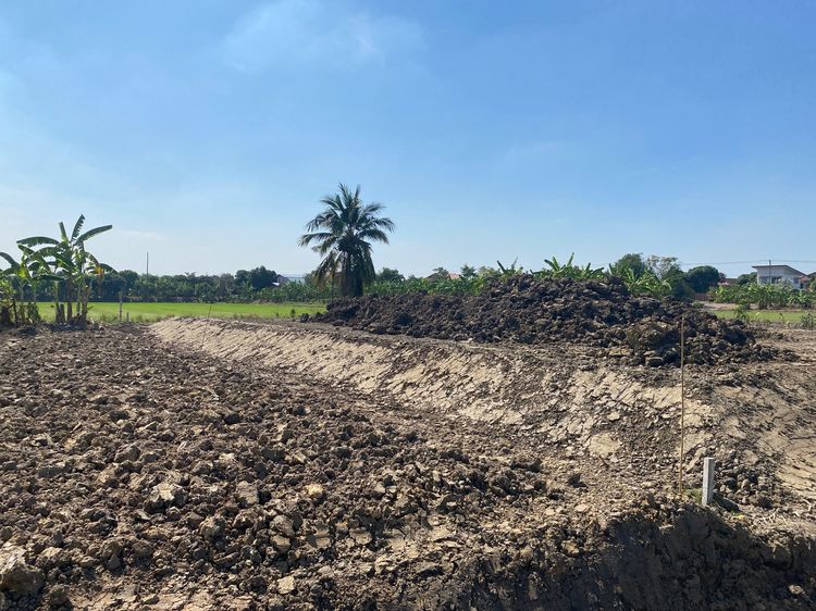 ที่ดินสร้างบ้านราคาดีที่สุดในบางบัวทอง รูปที่ 3