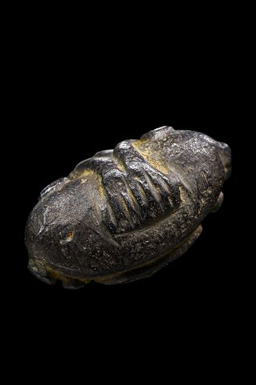 เหรียญปิดตาหลวงปู่เอี่ยม วัดหนัง เนื้อสัมฤทธิ์แก่เงิน รูปที่ 3