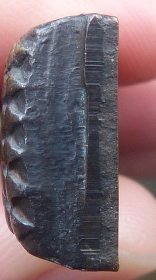 หลวงปู่ทวดพิมพ์เล็กหลังหนังสือ รูปที่ 3