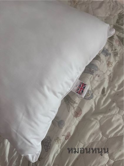 แจกฟรีค่ะ เลื่อนดูก่อน รูปที่ 10