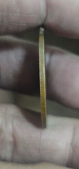 เหรียญหลวงปู่ไข่วัดเชิงเลน รูปที่ 8