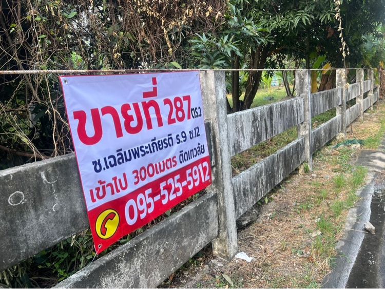 ที่ดิน287ตรว. รูปที่ 4