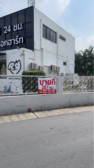 ที่ดิน287ตรว. รูปที่ 2