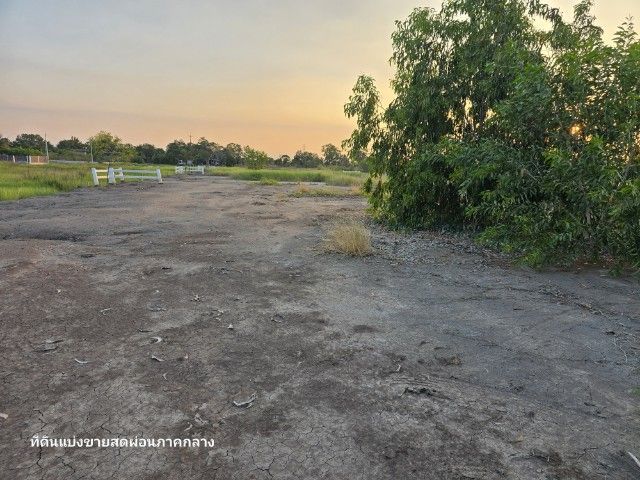 ที่ดินริมบึง บ้านสวนริมน้ำ ปทุมธานี รูปที่ 2