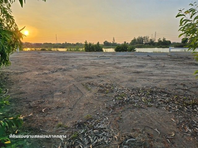 ที่ดินริมบึง บ้านสวนริมน้ำ ปทุมธานี รูปที่ 4