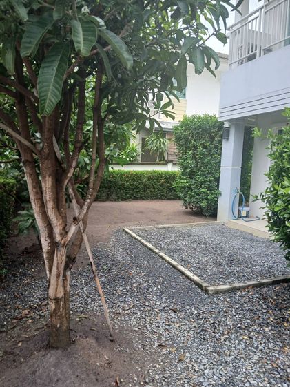 มีบางส่วน 2012 ให้เช่าบ้านเดี่ยว 2 ชั้น 3 นอน 3น้ำ 56 ตร.วา มุ้งลวด+เหล็กดัด หมู่บ้านคุณาภัทร 4 ถนนบ้านกล้วย-ไทรน้อย อยู่ตรงข้ามฟิตเนต สนามเด็กเล่น สวนสาธา รูปที่ 2