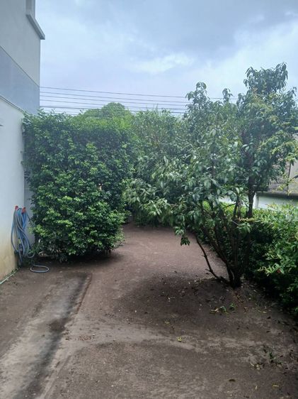 มีบางส่วน 2012 ให้เช่าบ้านเดี่ยว 2 ชั้น 3 นอน 3น้ำ 56 ตร.วา มุ้งลวด+เหล็กดัด หมู่บ้านคุณาภัทร 4 ถนนบ้านกล้วย-ไทรน้อย อยู่ตรงข้ามฟิตเนต สนามเด็กเล่น สวนสาธา รูปที่ 3