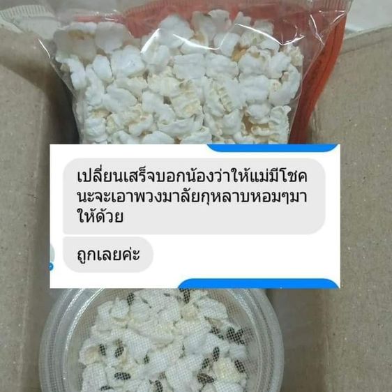 น้องกระดิ่งเงินกระดิ่งทอง คุณกระดิ่งเงินกระดิ่งทอง สัตว์เลี้ยงมงคล ผ่านพิธีแล้ว เสริมดวงการเงิน โชคลาภ ค้าขาย ทำธุรกิจปัง รูปที่ 2