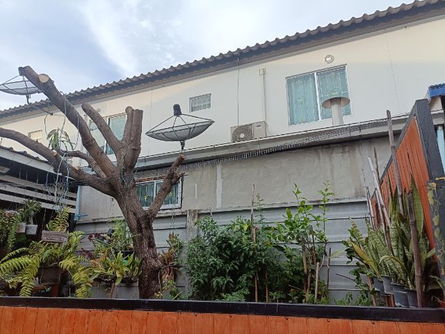 Pruksa 2015 มีบางส่วน ใช่ เช่าครบ20ปีโอนเป็นเจ้าของได้เลย รูปที่ 4