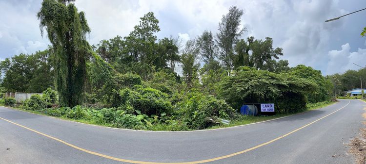 ที่ดินใกล้สนามบินภูเก็ตให้เช่า 2.5 ไร่