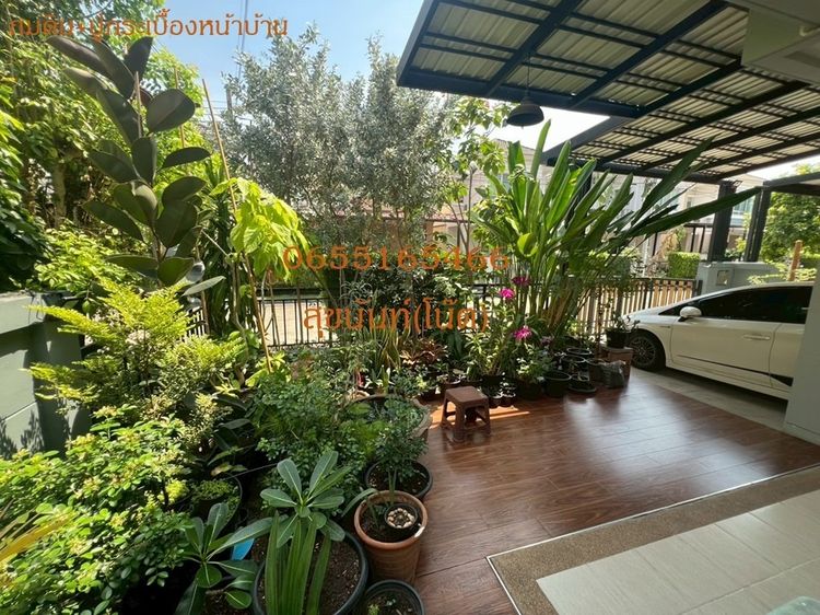 SC ASSET ตกแต่งครบ 2015 บ้านแฝดคุณภาพ เจ้าของขายเอง  ไลฟ์ บางกอก บูเลอวาร์ด พระราม 5 รูปที่ 3