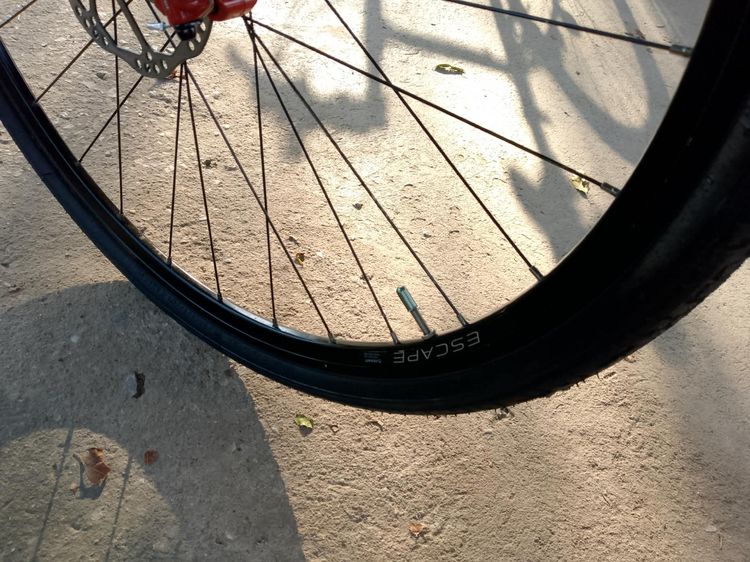 GIANT ESCAPE  รูปที่ 17