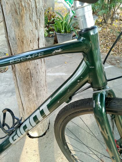 GIANT ESCAPE  รูปที่ 5