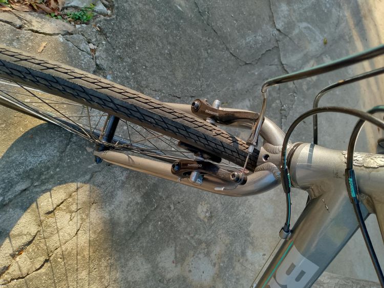 Bianchi Cama Leonte รูปที่ 15