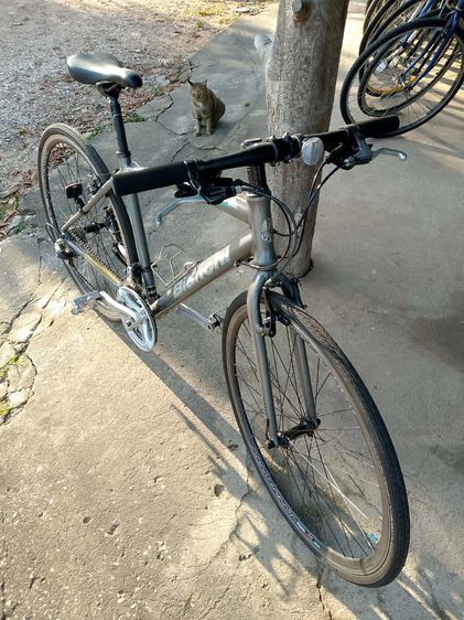 Bianchi Cama Leonte รูปที่ 9