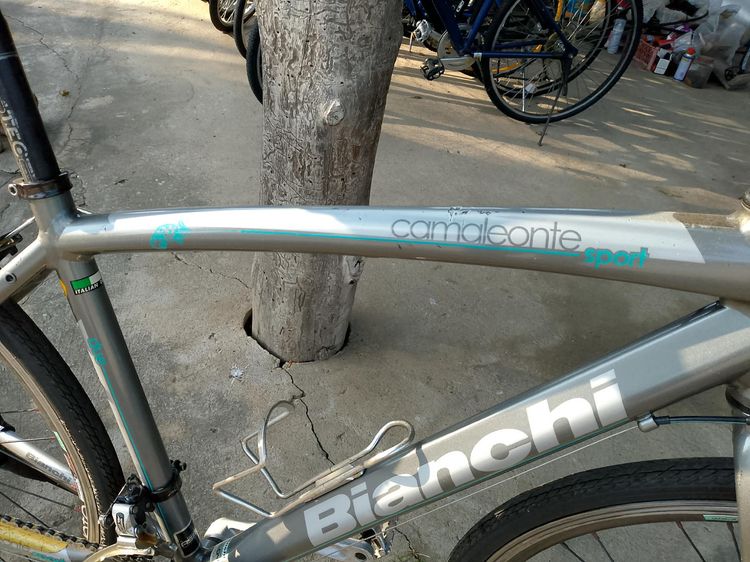 Bianchi Cama Leonte รูปที่ 13