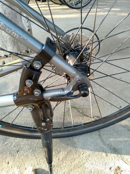 Bianchi Cama Leonte รูปที่ 17