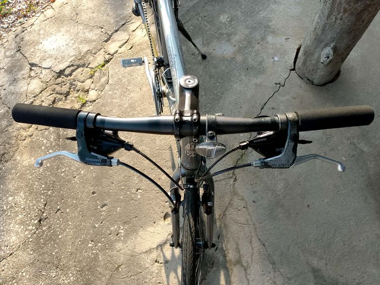 Bianchi Cama Leonte รูปที่ 6