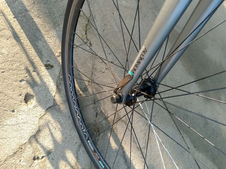 Bianchi Cama Leonte รูปที่ 12