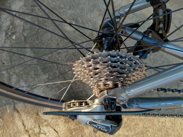 Bianchi Cama Leonte รูปที่ 3