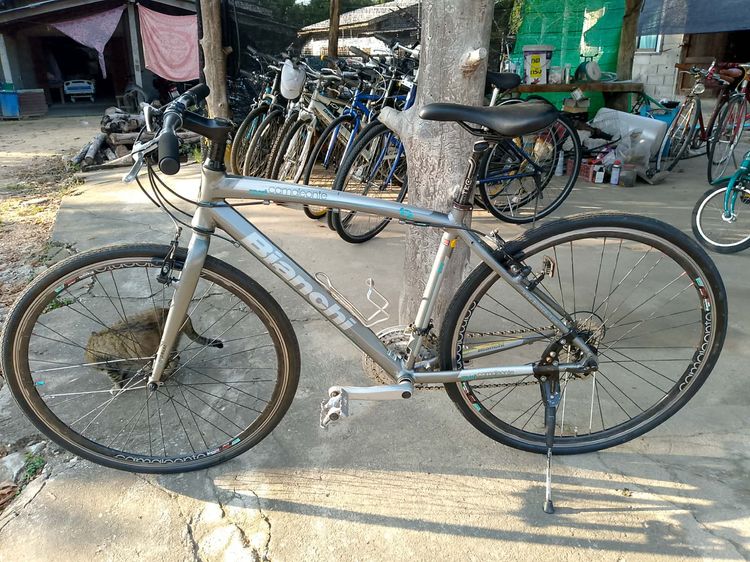 Bianchi Cama Leonte รูปที่ 10