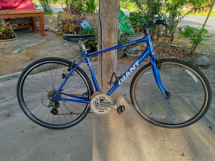 GIANT ESCAPE R3 