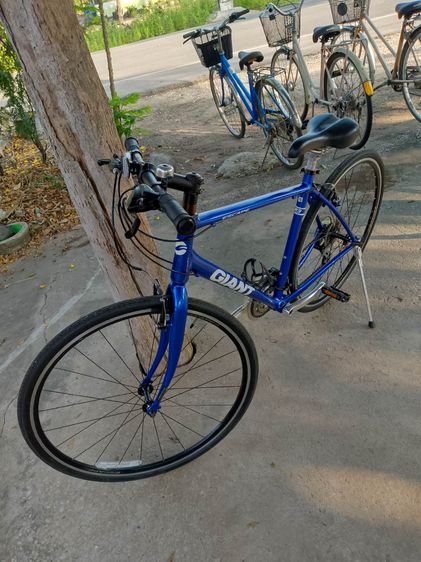 GIANT ESCAPE R3  รูปที่ 4