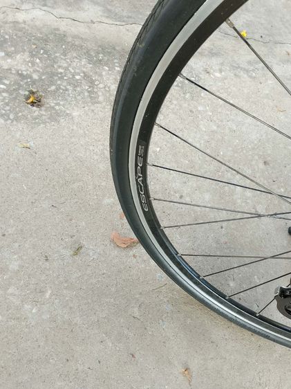 GIANT ESCAPE R3  รูปที่ 13