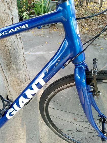 GIANT ESCAPE R3  รูปที่ 8