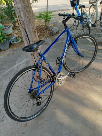 GIANT ESCAPE R3  รูปที่ 14