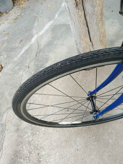 GIANT ESCAPE R3  รูปที่ 10