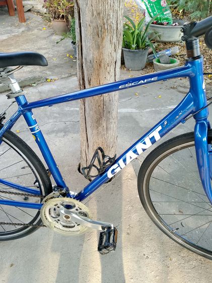 GIANT ESCAPE R3  รูปที่ 7