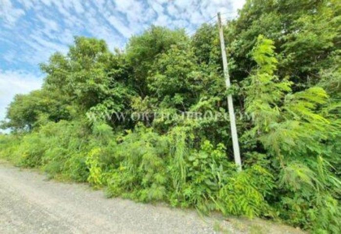 ใช่ ที่ดินบางเสร่ ถนนหมายเลข 332 ต.บางเสร่ อ.สัตหีบ จ.ชลบุรี 
ขายถูก" รูปที่ 3