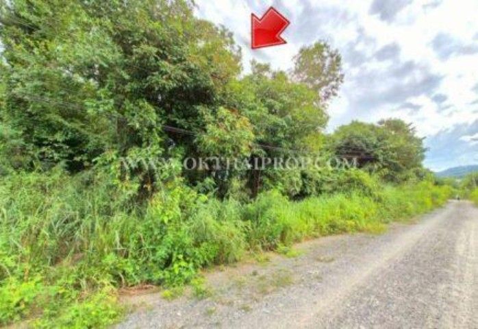 ที่ดินบางเสร่ ถนนหมายเลข 332 ต.บางเสร่ อ.สัตหีบ จ.ชลบุรี 
ขายถูก"