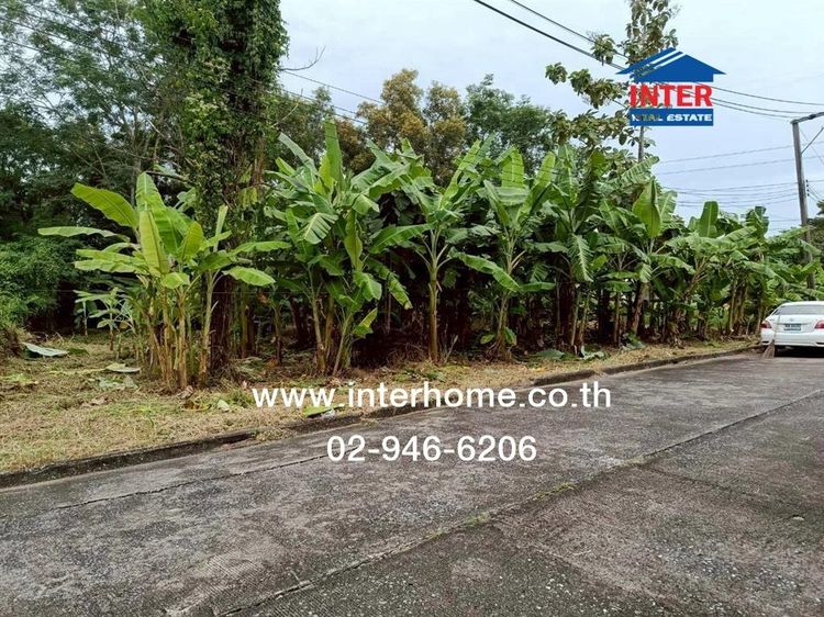 ที่ดินเปล่า 364 ตร.ว. ที่ดิน หมู่บ้านกฤษดานคร25 ซอยประชาร่วมใจ31 ถนนสุวินทวงศ์ ถนนนิมิตใหม่ เขตคลองสามวา กรุงเทพมหานคร